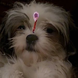 Meet your Posher, Gabrielle